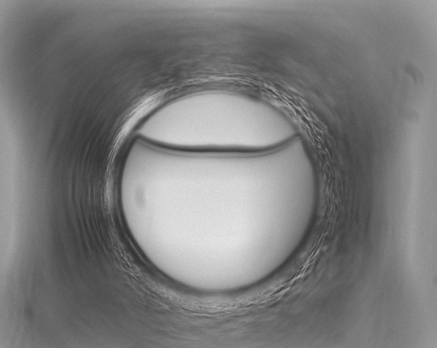 X0000116290006200911301002