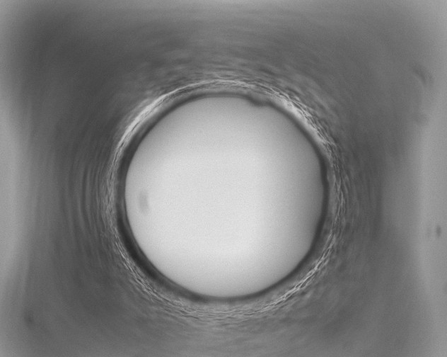 X0000116290007200911301002