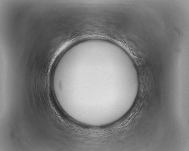 X0000116290008200911301002