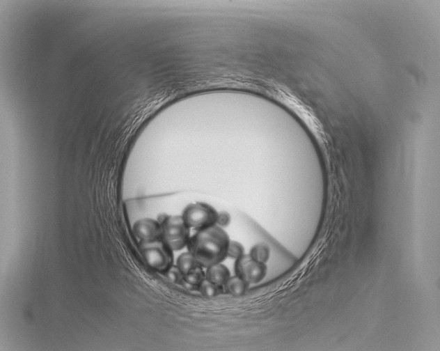 X0000116290009200911301002