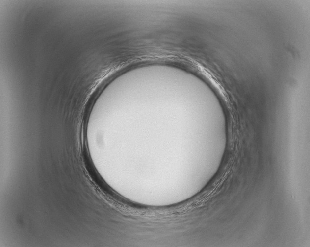 X0000116290011200911301002