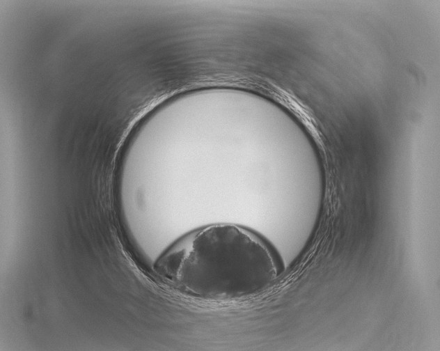 X0000116290012200911301002