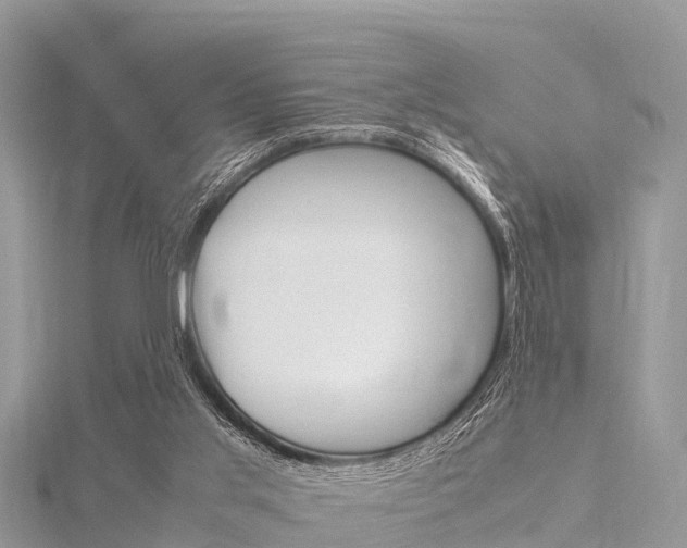 X0000116290013200911301002