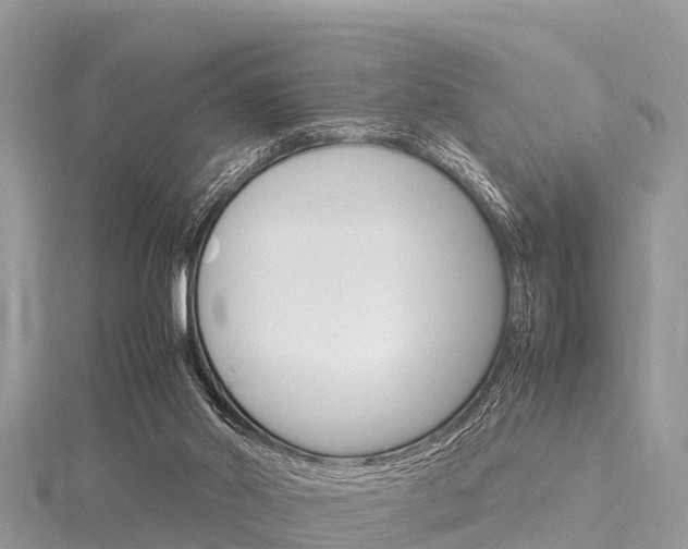 X0000116290014200911301002