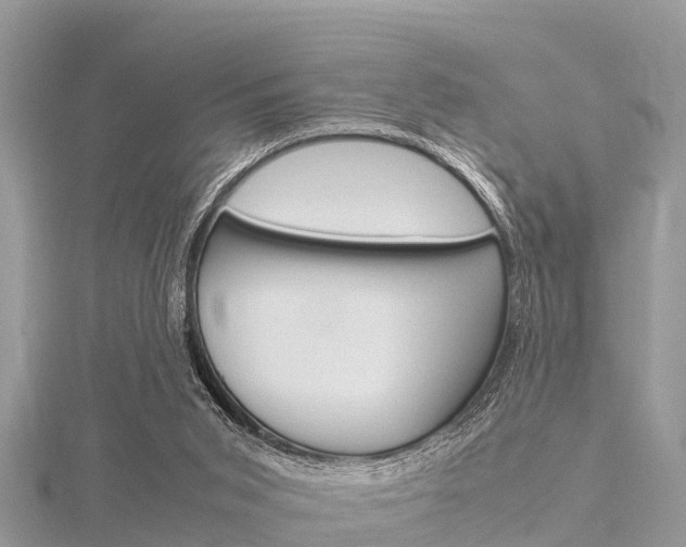 X0000116290015200911301002