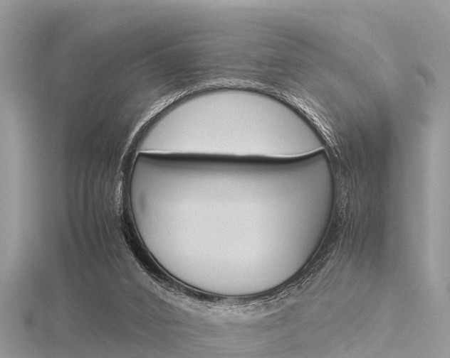 X0000116290016200911301002