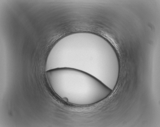 X0000116290017200911301002