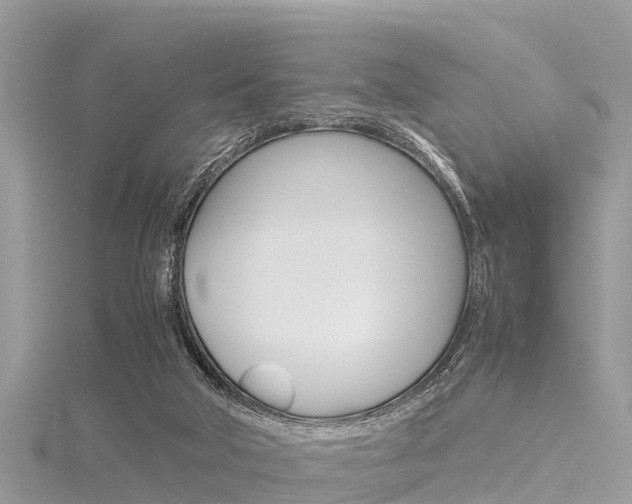 X0000116290018200911301002