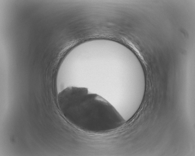 X0000116290019200911301002