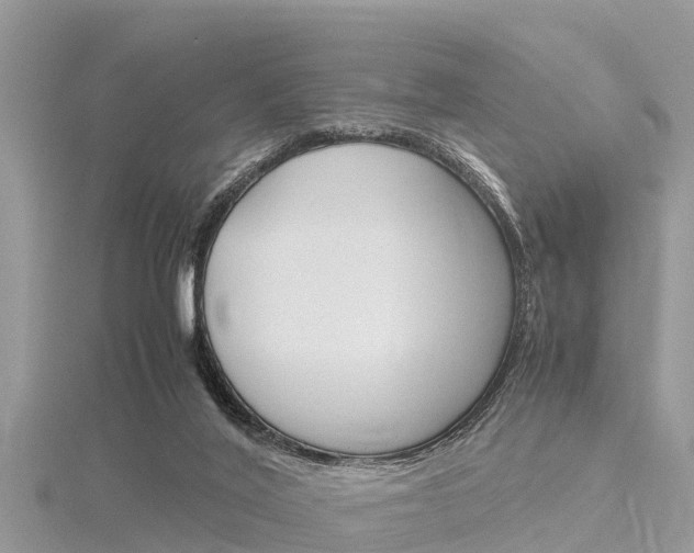 X0000116290020200911301002