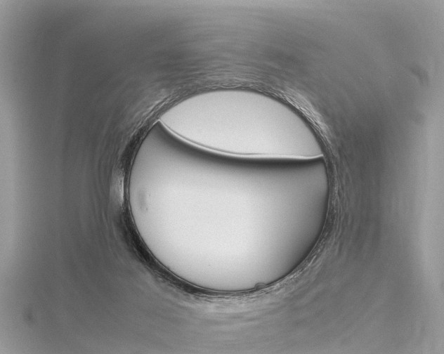 X0000116290021200911301002