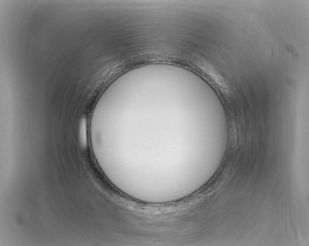 X0000116290022200911301002