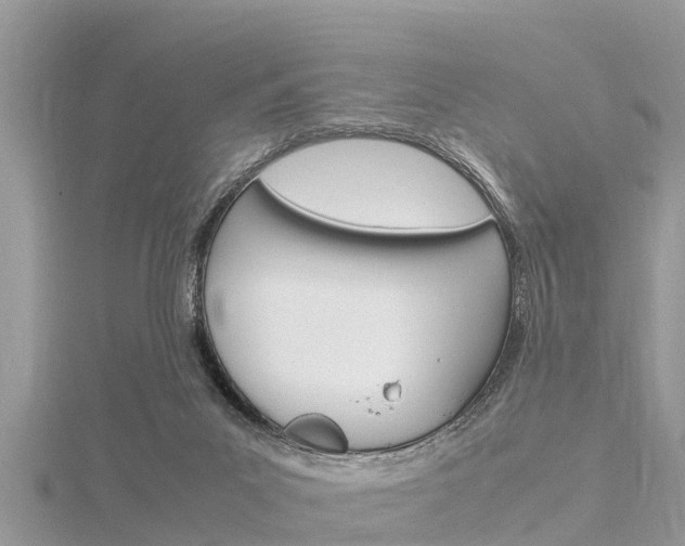 X0000116290023200911301002