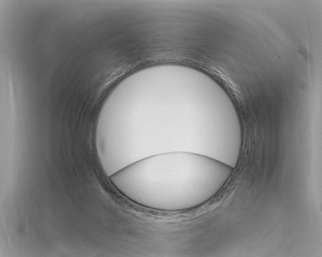 X0000116290024200911301002