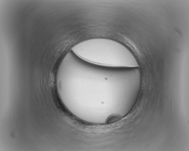 X0000116290025200911301002