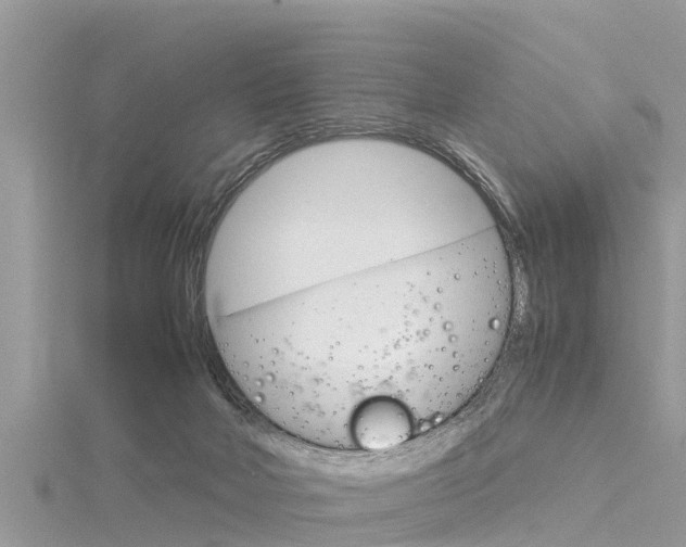 X0000116290026200911301002