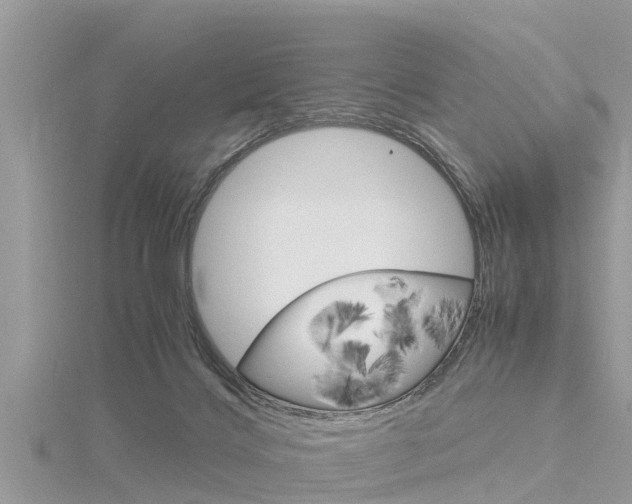 X0000116290028200911301002