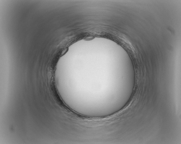 X0000116290029200911301002