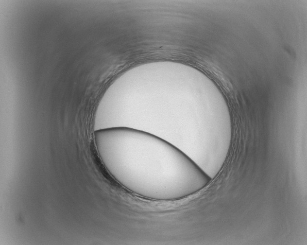 X0000116290031200911301002