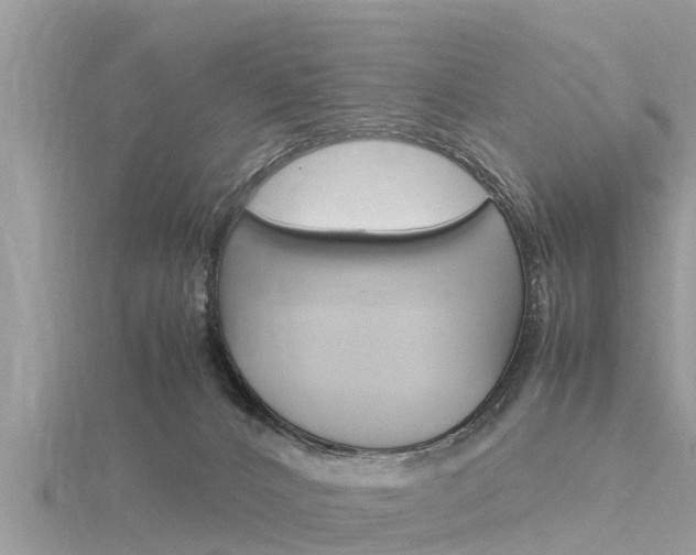 X0000116290032200911301002