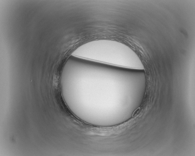 X0000116290033200911301002