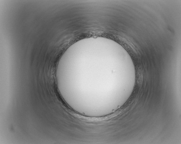 X0000116290034200911301002