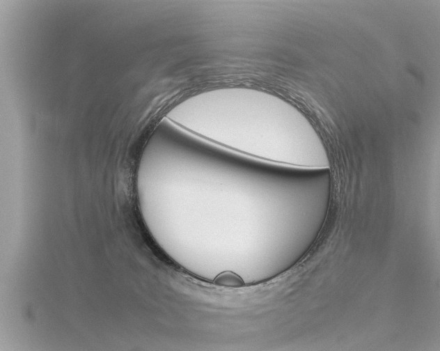 X0000116290035200911301002