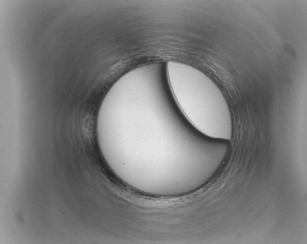 X0000116290036200911301002