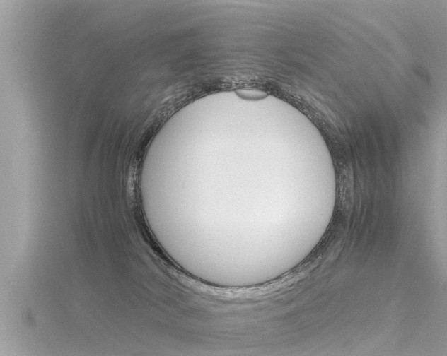 X0000116290038200911301002