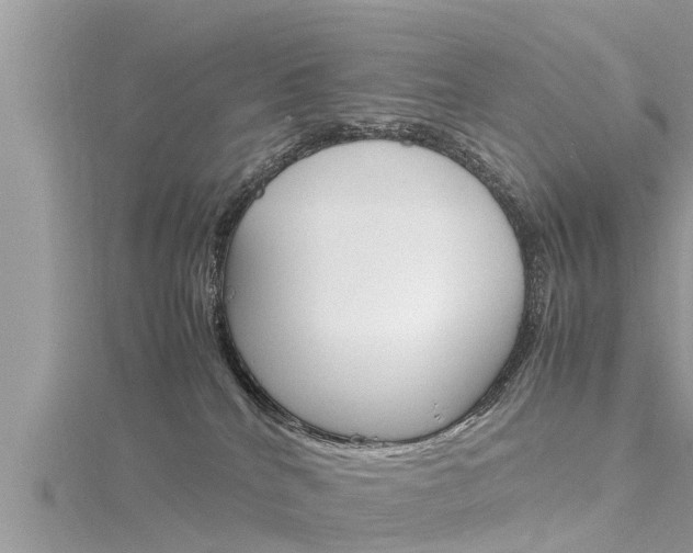 X0000116290040200911301002