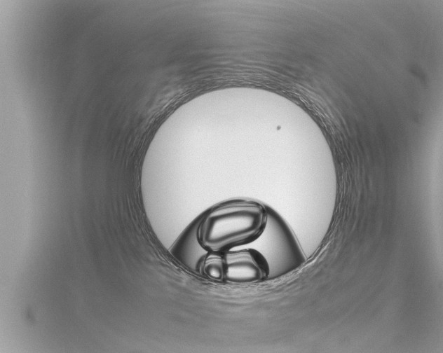 X0000116290041200911301002