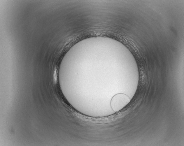 X0000116290042200911301002