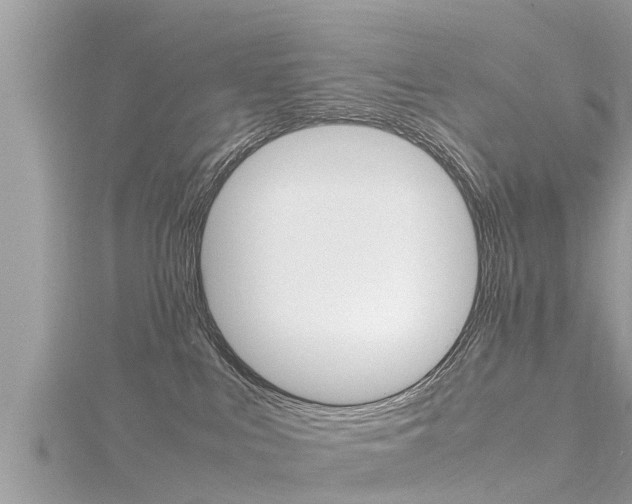 X0000116290043200911301002