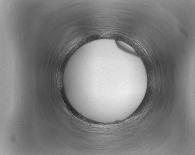 X0000116290044200911301002