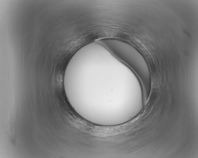 X0000116290045200911301002