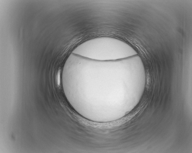 X0000116290046200911301002