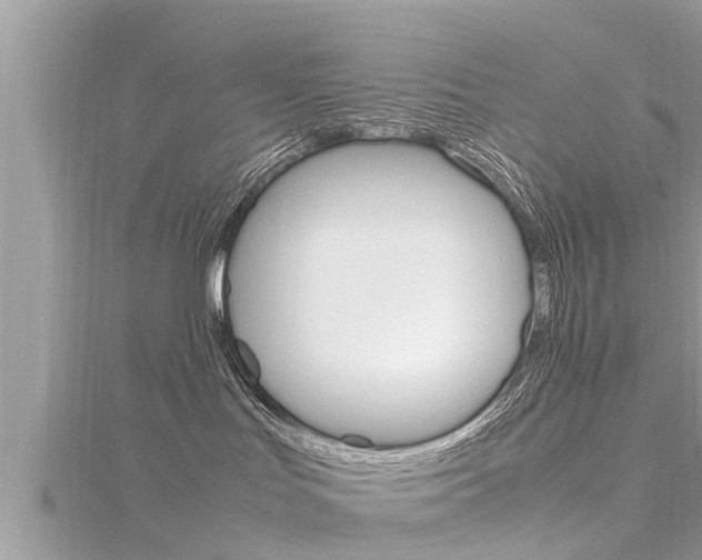 X0000116290047200911301002