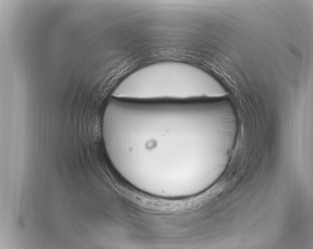 X0000116290048200911301002