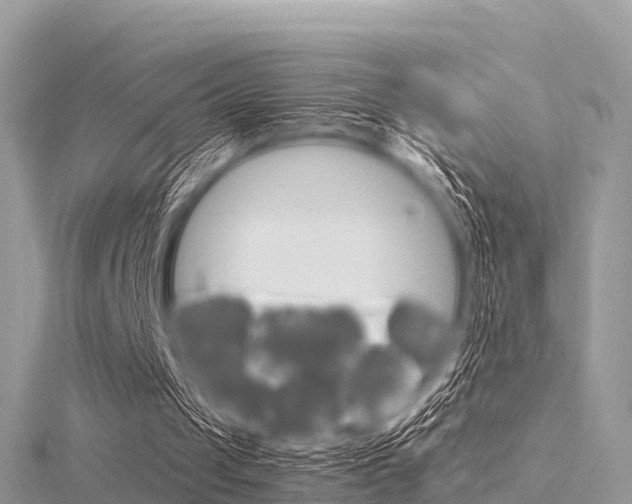 X0000116290049200911301001