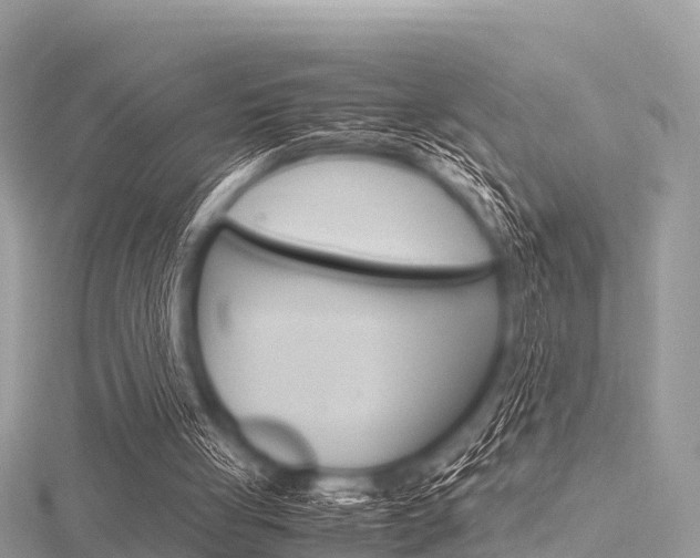 X0000116290051200911301001