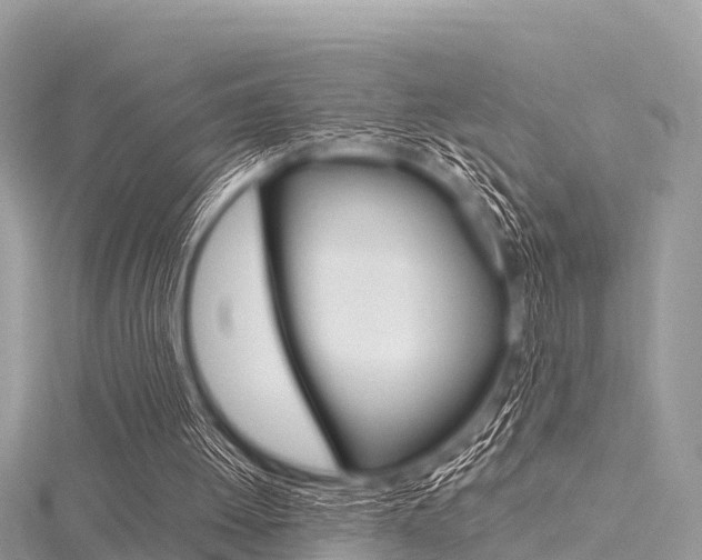 X0000116290052200911301001