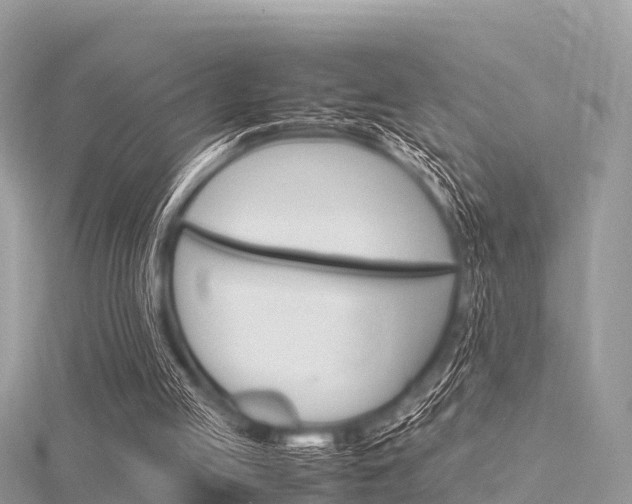 X0000116290053200911301001