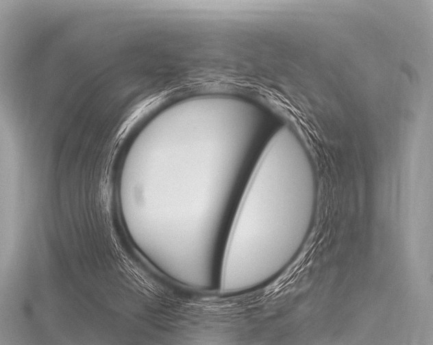 X0000116290054200911301001