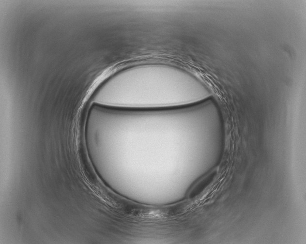 X0000116290056200911301001