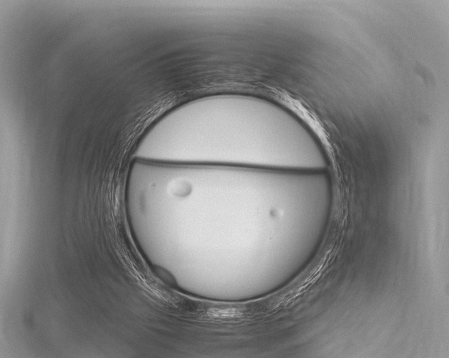 X0000116290057200911301001