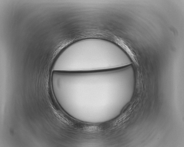 X0000116290058200911301001