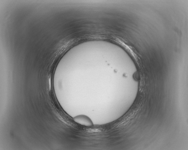 X0000116290061200911301001