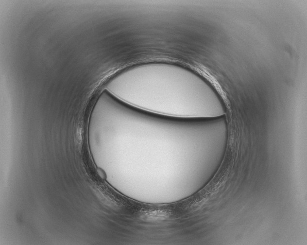 X0000116290063200911301001