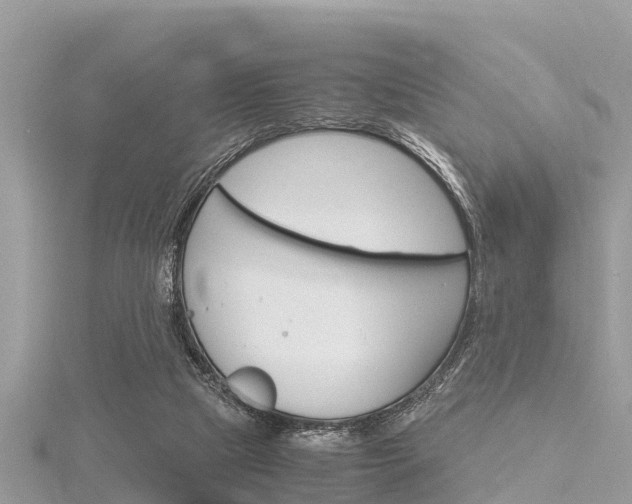 X0000116290065200911301001