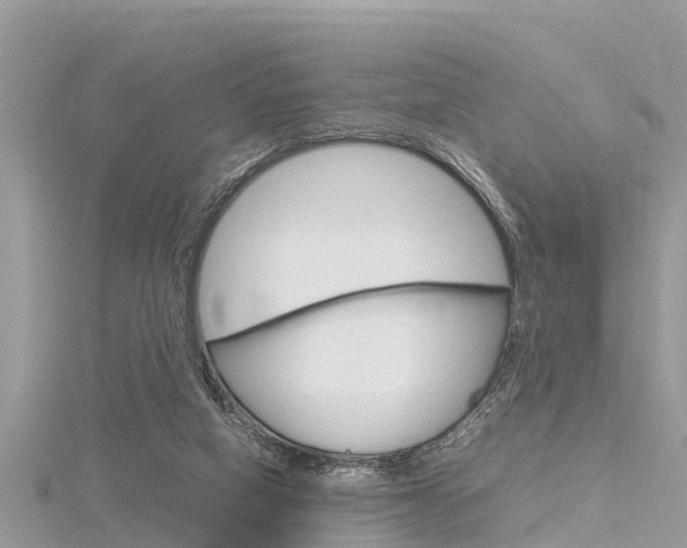 X0000116290066200911301001